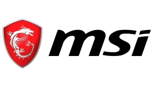 MSI