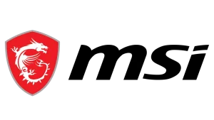 MSI OEM
