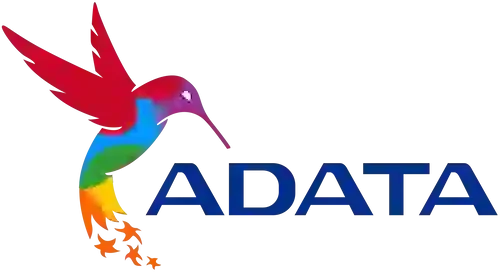 Logotipo adata México soluciones tecnológicas en hardware